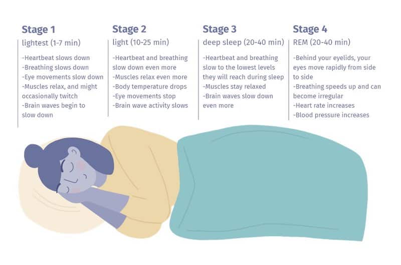 4 stages of sleep