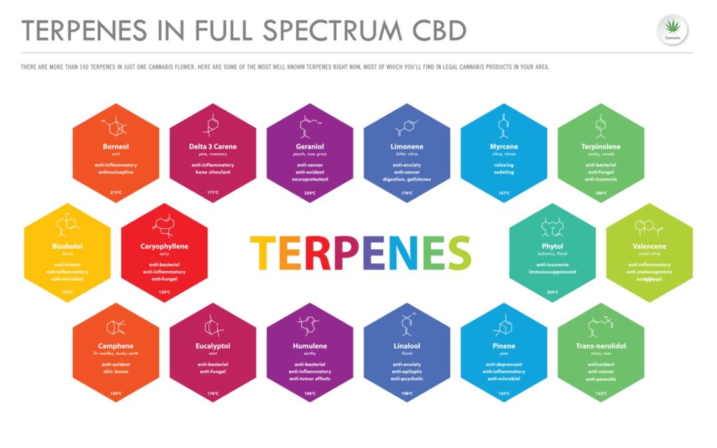 the medical benefits of terpenes
