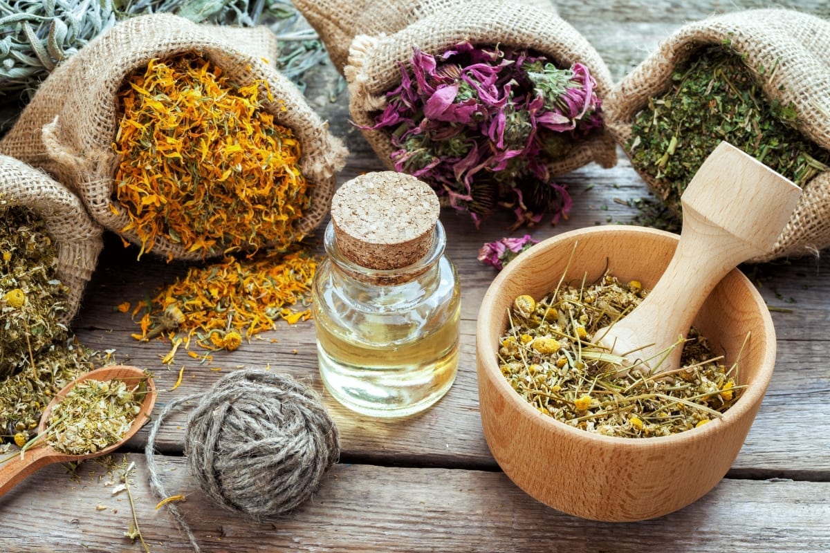 terpenes to heal the body